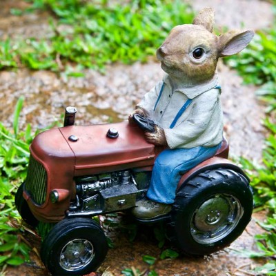 Mr Farmer Rabbit