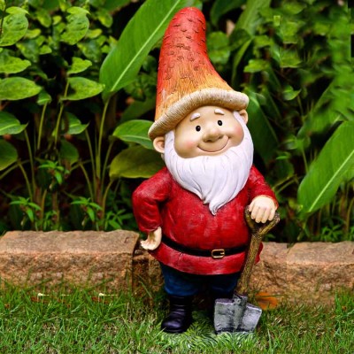 Wise Gnome