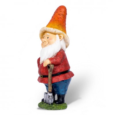 Wise Gnome