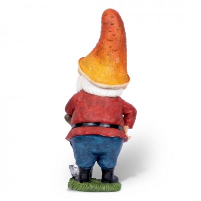 Wise Gnome