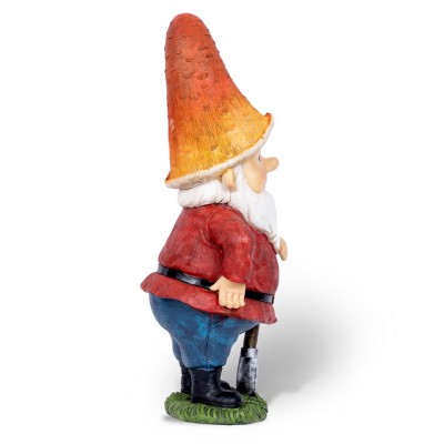 Wise Gnome