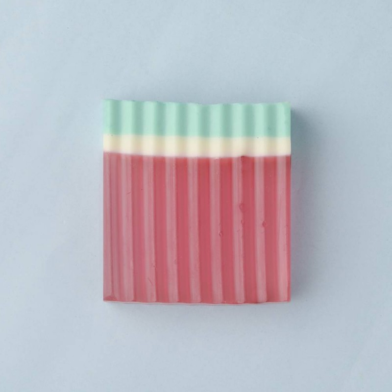 2pc WATERMELON SOAP